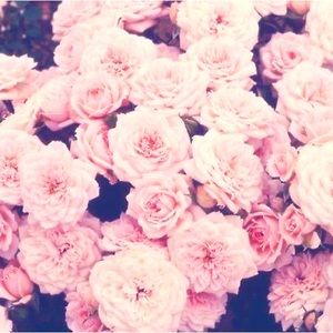 Meet your Posher, Carmen